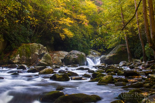 Maggie Valley Homes for Sale
