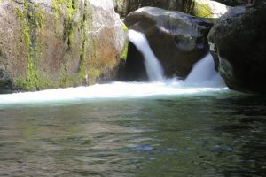 Great Smoky Mountain National Park